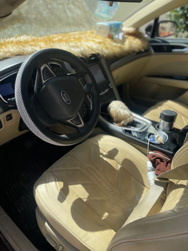 Ford Fusion – Image 6
